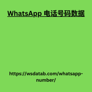 WhatsApp 电话号码数据